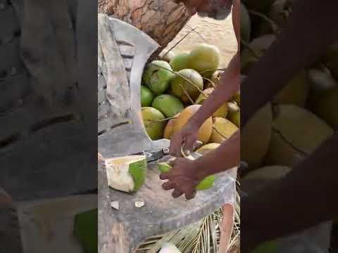 இளநீர் தேங்காய் யாருக்கு பிடிக்கும்./Tender coconut 🥥./ Ipdi yaarellam saptrukinga comment panuga./