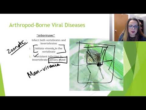 Overview Vectors and Reservoirs