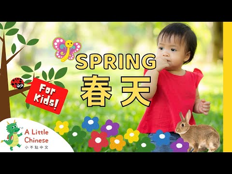 Seasons for Kids: What Happens in Spring? Spring Facts in Chinese 春天 | Chinese Videos for Kids