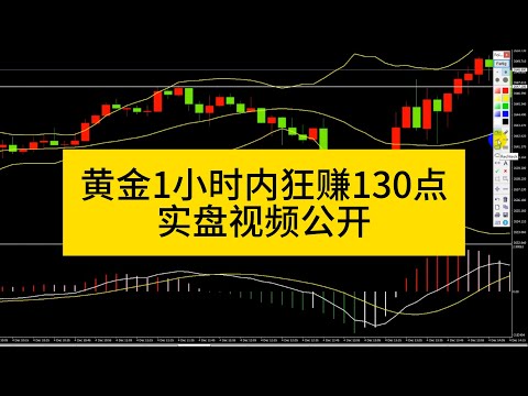 【直播回顾】黄金1小时内狂赚130点，实盘视频公开！