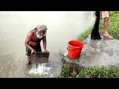 চাচা  মাছ ধরছে বৃষ্টির পানিতে | rainy day fishing