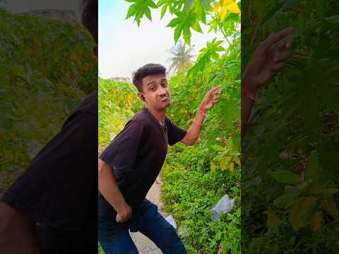 Main hoon sharara #youtube #bfunvlog27 #funny #dance #viralvideo #viralshorts #comedyvideo