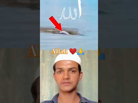 Allah majak ha reaction motivation Allah #motivation #trending #reactionvideo