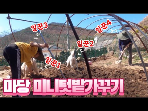 #23 [귀촌 브이로그] 우리 집 마당 미니 텃밭 가꾸기