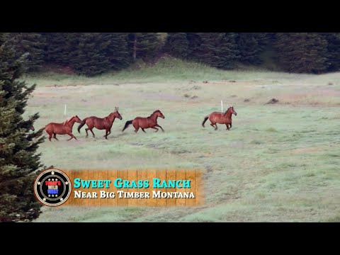 Montana's historicSweetgrass Ranch