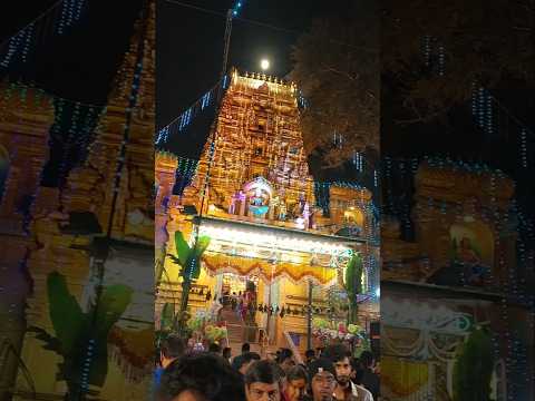 Malleshwaram Kadalekai Parishe 2024 🌸Kaadu malleshwara temple 🌸Malleshwaram Fest #shorts #trending