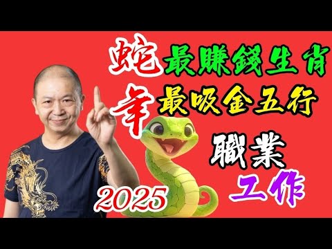 🎱📚🐍｜最吸金賺錢生肖｜五行職業｜為生命創造價值｜#KenSir #教你睇八字 #astrology #八字 #盤古靈數 #玄學 #蛇年2025十二生肖  #留言 👇👇👇