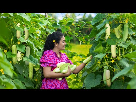 Who will disfavour cucumber!!if made in all sweet,spicy & milky ways.|Poorna - The nature girl|