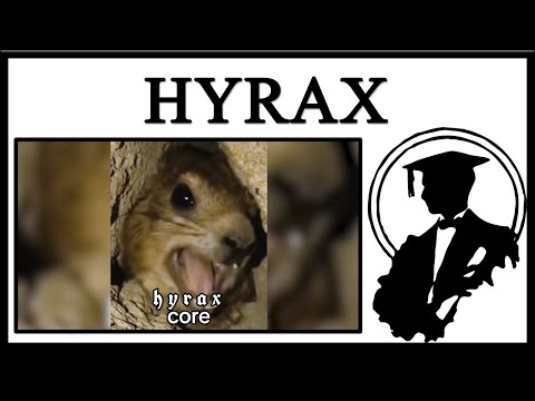 Hyraxes Are Cool