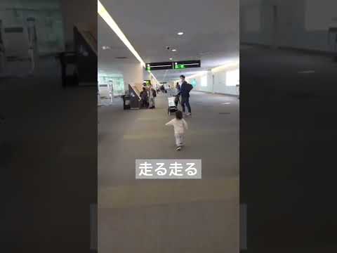 羽田空港　走って疲れて、機内でお昼寝してもらう作戦　#1歳6ヶ月男の子