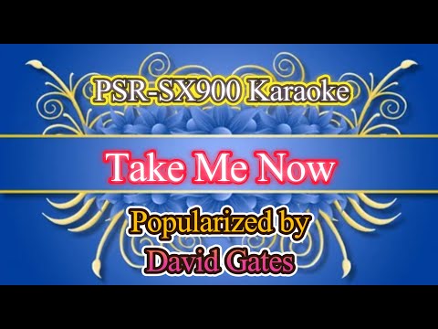 Take Me Now - David Gates Video Karaoke