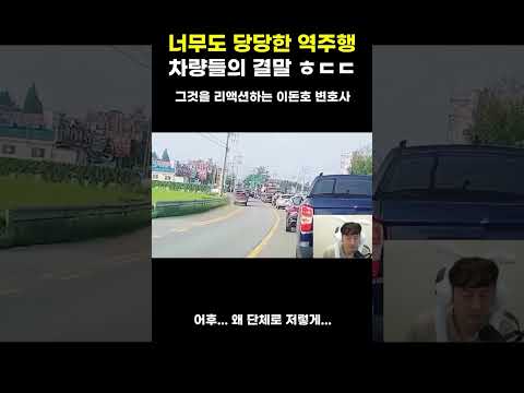 너무도 당당한 역주행 차량들의 결말