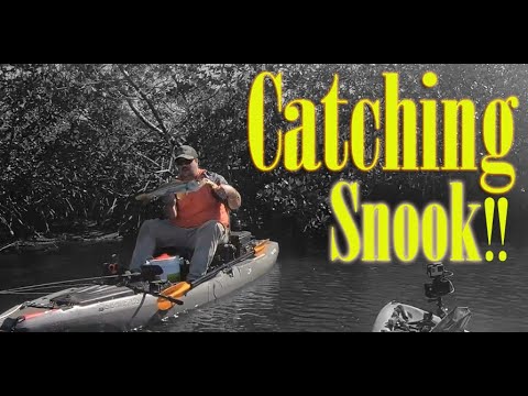 "Monster Strikes & First Snook from a Kayak! | 2024 Thanksgiving Fishing Extravaganza Ep. 3"