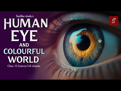 Human Eye and Colourful World Class 10 Full Chapter (Animation) | Class 10 Science Chapter 11 | CBSE