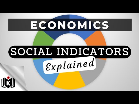 7 Social Indicators used for International Benchmarking | Analysis | Essay | Grade 12 Economics Exam