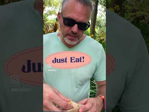 Pongu Lumpia - a sweet snack from Pandora in Disney's Animal Kingdom #disney #manbun #animalkingdom