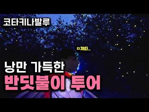 비오는날 더욱 더 몽환적인 코타키나발루 반딧불 투어 『코타키나발루 여행』