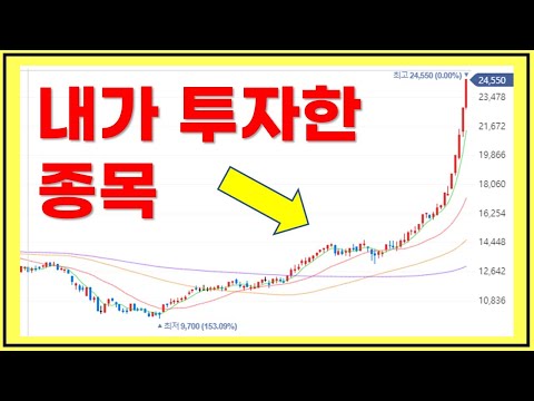 [투자 종목 공개] 직장인 투자자의 2022년 투자일지 + 나의 투자 관점