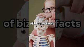 Facts About the Human Body 🤯| Facts in English | Fact of the day | #bodyfacts #facts #shorts