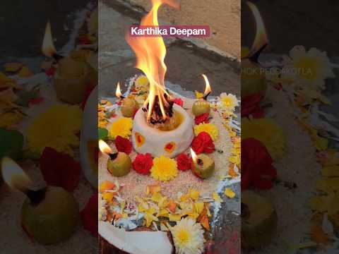 Karthika Pournami 2023 #shorts #trending #karthikamasam #karthikadeepam #trendingshorts