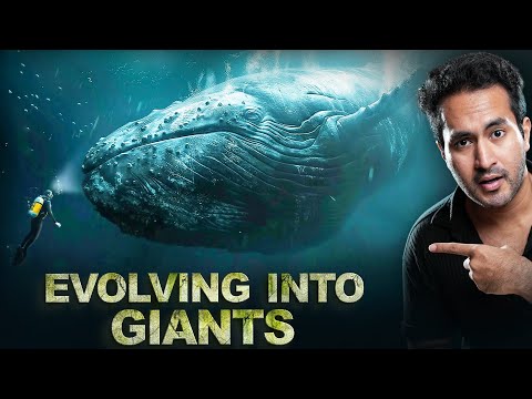 Why do OCEANS Breed MONSTERS?