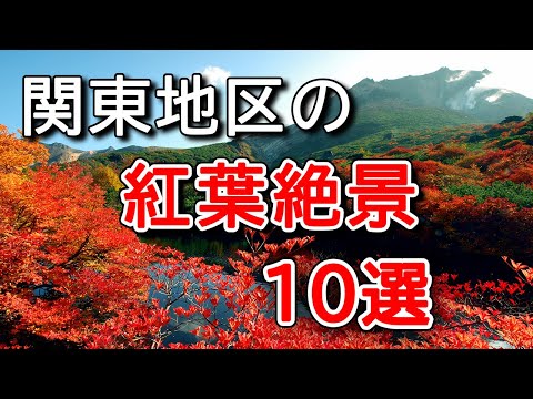 [4K Autumn leaves in Japan 🍁 10 spectacular views] Introducing famous spots around Tokyo