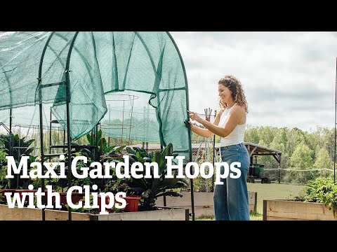 A Closer Look At The Maxi Garden Hoops with Clips