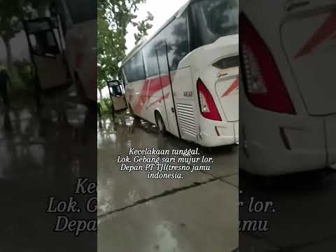 Kecelakaan bus murni jaya di mujur kroya. #kecelakaan #murnijaya #lakalantas #kecelakaanbus #kroya