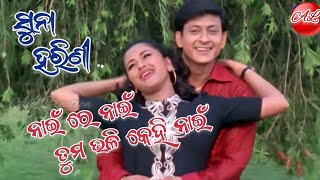 Nai Re Nai Re Tuma Bhali Kehi Nahin || Odia Film Song || Suna Harini || Sidhant || Rachna ||