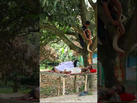 The Ghost Man King Cobra Scary Prank On Rest Man! | Sagor Bhuyan #shorts #prank #scary