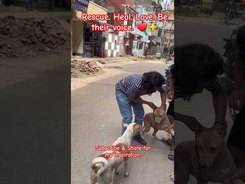 Heartwarming Street Dog Rescue | Love, Care & Treatment for Strays 🐾❤️ #StreetDogRescue #DogLove