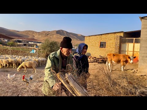 Mountain Mysteries: Daily Routines of Iran’s Strong Nomadic Family