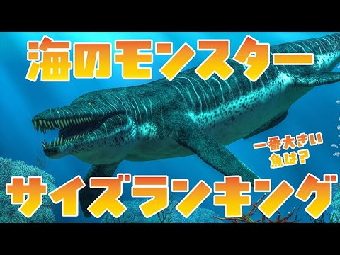 【海の生き物】海のモンスター