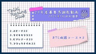 【23年産】調教動画⑪　BTC坂路コース　2025年1月初旬撮影