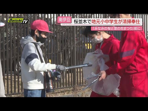 【恒例】｢気持ちよく過ごしてもらえたら…」早春の一大イベント前に地元小中学生が清掃奉仕（静岡･南伊豆町）