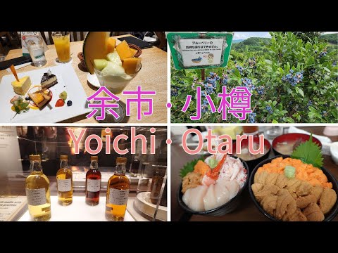 [北海道 Hokkaido 2023] 余市 Yoichi & 小樽 Otaru 任摘任食水果 & 三⻆市場超鮮海膽飯