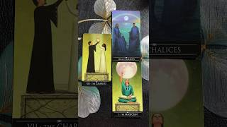 Their Feelings & Thoughts #mysticworld1111 #tarot #theirfeelings #theirthoughts