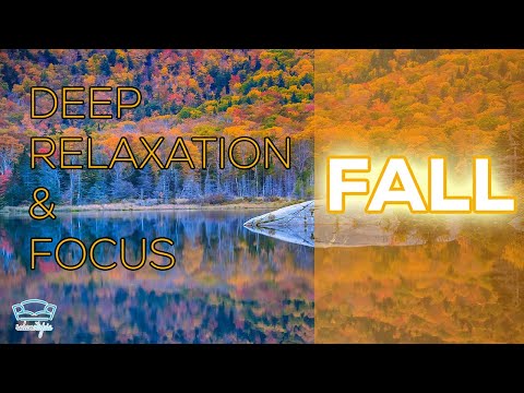 Enhance Concentration and Achieve Goals with our Serene Fall Scenery and Calming Sounds