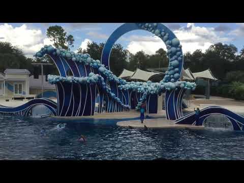 Dolphin Days SeaWorld Orlando 30th October 2019!!