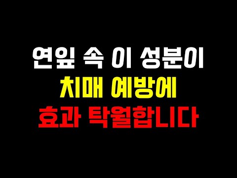 연잎 속 이 성분이 치매 예방에 효과 탁월합니다