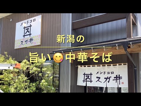 新潟の旨い　中華そば　田上町　メンドコロ　スガ井