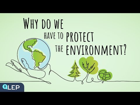 Why Should We Protect The Environment? | 🎙️ 8 Minute English | Beginner