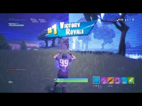 Fortnite 12 kill win