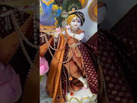 समझे?प्यारे राधारमण जू लाल🥺🙏#राधाकृष्ण#yt#krishna#vrindavan#shortsfeed#shortvideo#ytshort #yt_shorts