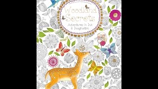 Flip Through Woodland Secrets Coloring Book