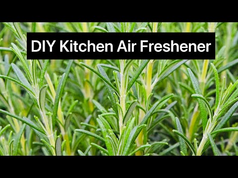 DIY Kitchen Air Freshener