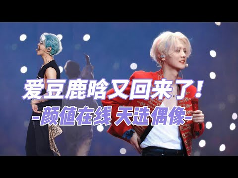 爱豆鹿晗又回来了！颜值在线，天选偶像，演唱会爆火！