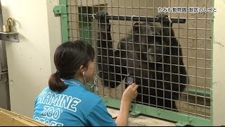 ドキュメンタリー ～かみね動物園 獣医のしごと～