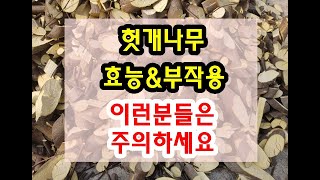 헛개나무 효능과 부작용 잘 알고 드셔야해요~