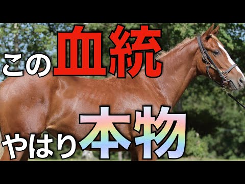 この血統はやはり本物かも！数少ない産駒で勝利を重ねる新種牡馬とは。